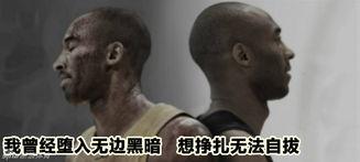 平凡之路搞笑图片,笑出腹肌的搞笑瞬间