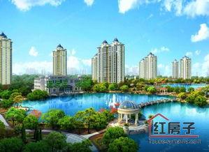 广州恒大照片,球场经典瞬间回顾  第1张