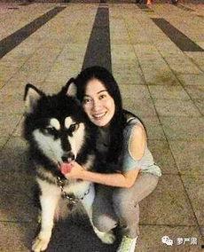 网红方丈养的什么狗,揭秘他养的神秘狗狗  第3张