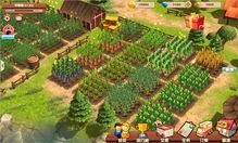 娱乐农场是真的吗  第2张