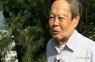 翁帆的背景,从清华才女到才子佳人，揭秘她的传奇人生  第2张