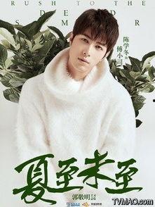 夏至未演员,青春记忆中的光影传奇