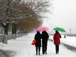 雪迎的照片,银装素裹，诗意盎然