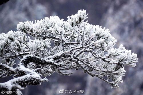 雪迎的照片,银装素裹，诗意盎然  第2张