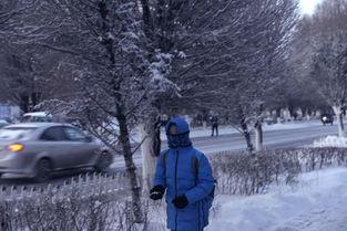 雪迎的照片,银装素裹，诗意盎然  第3张